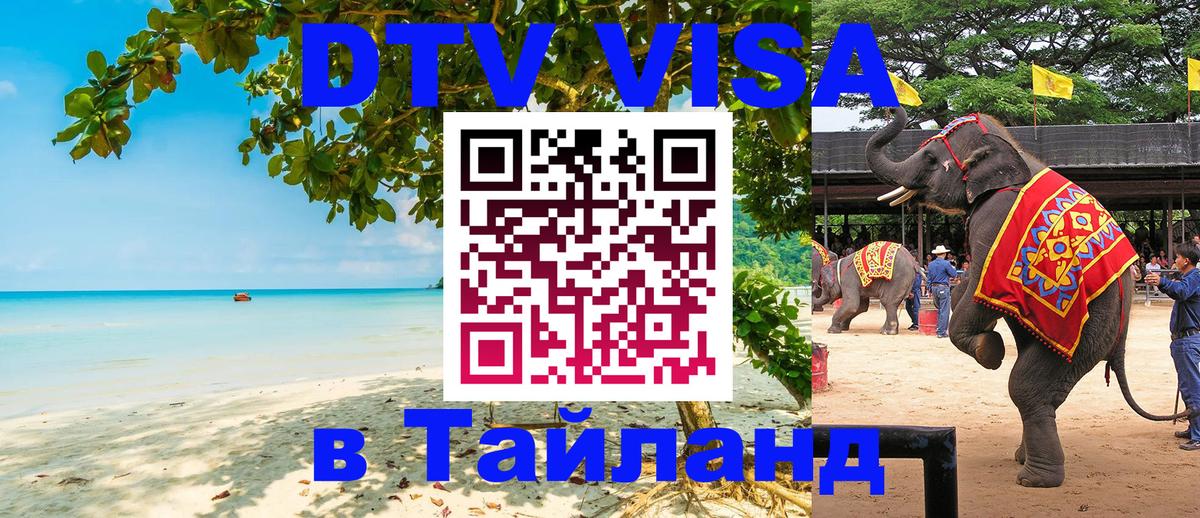 Сколько стоит DTV виза — актуальные цены, оформление даже без документов - 